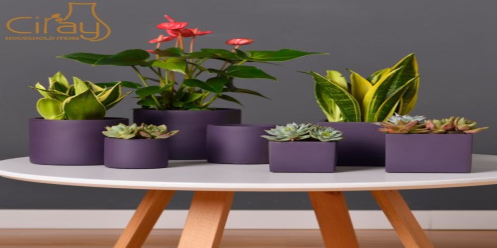 6 Tips For Finding Wholesale Flower Pots